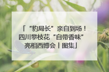 “豹局长”亲自到场！四川攀枝花“自带香味”亮相西博会丨图集