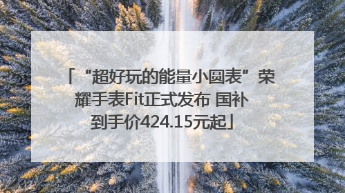 “超好玩的能量小圆表”荣耀手表Fit正式发布 国补到手价424.15元起