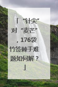 “针尖”对“麦芒”，176袋竹签棘手难题如何解？