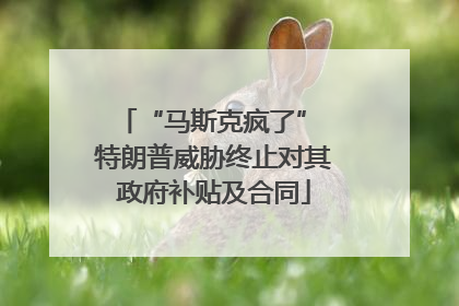 “马斯克疯了” 特朗普威胁终止对其政府补贴及合同