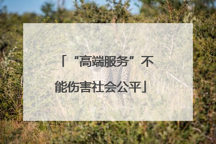 “高端服务”不能伤害社会公平