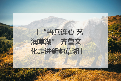 “鲁兵连心 艺润草湖” 齐鲁文化走进新疆草湖