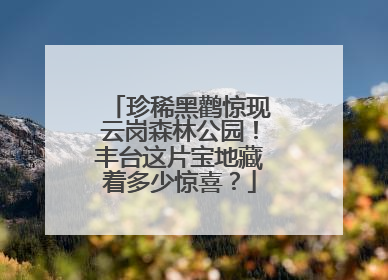 珍稀黑鹳惊现云岗森林公园！丰台这片宝地藏着多少惊喜？