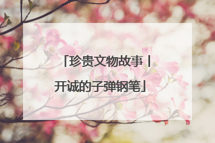 珍贵文物故事丨开诚的子弹钢笔