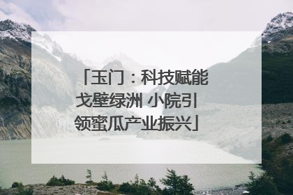 玉门：科技赋能戈壁绿洲 小院引领蜜瓜产业振兴
