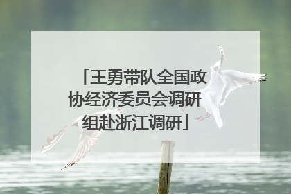 王勇带队全国政协经济委员会调研组赴浙江调研