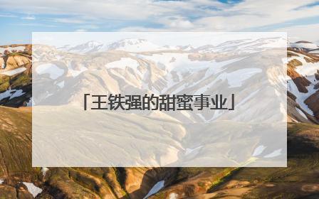 王铁强的甜蜜事业