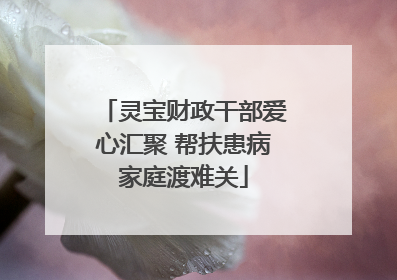 灵宝财政干部爱心汇聚 帮扶患病家庭渡难关