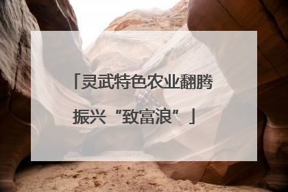 灵武特色农业翻腾振兴“致富浪”