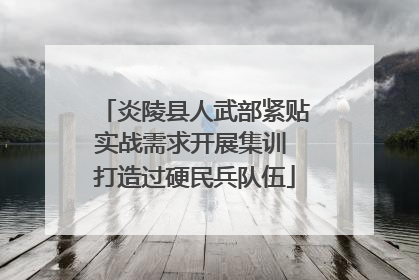 炎陵县人武部紧贴实战需求开展集训 打造过硬民兵队伍