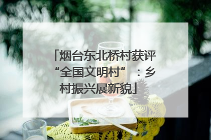 烟台东北桥村获评“全国文明村”：乡村振兴展新貌