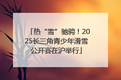 热“雪”驰骋！2025长三角青少年滑雪公开赛在沪举行