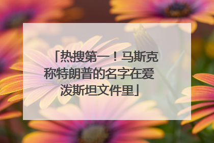热搜第一！马斯克称特朗普的名字在爱泼斯坦文件里