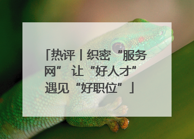 热评丨织密“服务网” 让“好人才”遇见“好职位”
