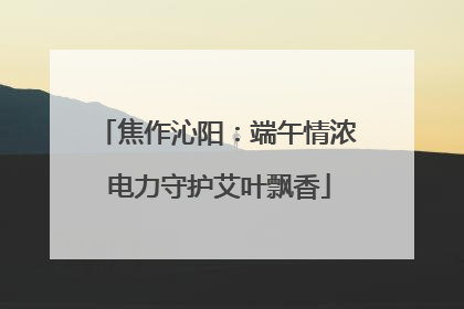 焦作沁阳：端午情浓 电力守护艾叶飘香