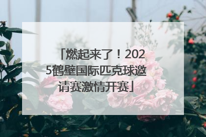 燃起来了！2025鹤壁国际匹克球邀请赛激情开赛