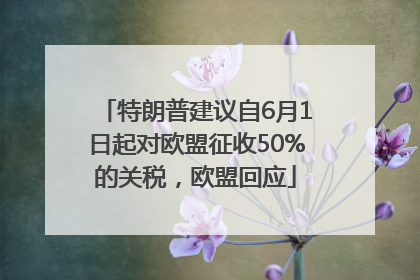 特朗普建议自6月1日起对欧盟征收50%的关税，欧盟回应
