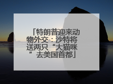 特朗普迎来动物外交：沙特将送两只“大猫咪”去美国首都