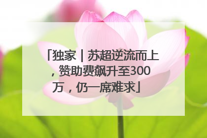 独家｜苏超逆流而上，赞助费飙升至300万，仍一席难求