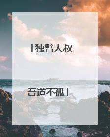 独臂大叔 吾道不孤