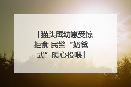 猫头鹰幼崽受惊拒食 民警“奶爸式”暖心投喂