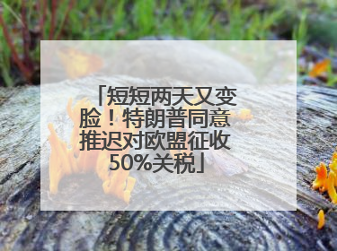 短短两天又变脸！特朗普同意推迟对欧盟征收50%关税