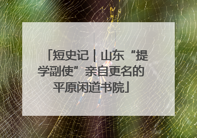短史记｜山东“提学副使”亲自更名的平原闲道书院