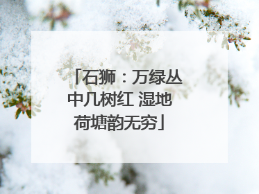 石狮：万绿丛中几树红 湿地荷塘韵无穷
