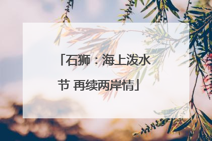 石狮：海上泼水节 再续两岸情