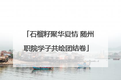 石榴籽聚华夏情 随州职院学子共绘团结卷