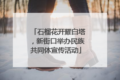 石榴花开耀白塔，新街口举办民族共同体宣传活动