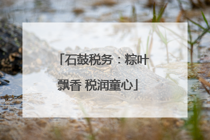 石鼓税务：粽叶飘香 税润童心