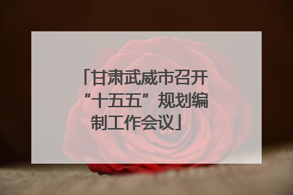 甘肃武威市召开“十五五”规划编制工作会议