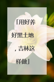 用好养好黑土地，吉林这样做