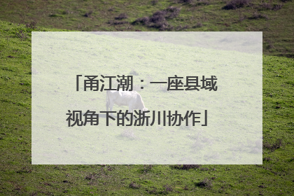 甬江潮：一座县域视角下的浙川协作