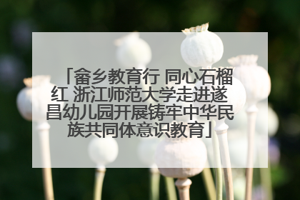畲乡教育行 同心石榴红 浙江师范大学走进遂昌幼儿园开展铸牢中华民族共同体意识教育