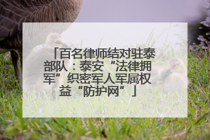 百名律师结对驻泰部队：泰安“法律拥军”织密军人军属权益“防护网”
