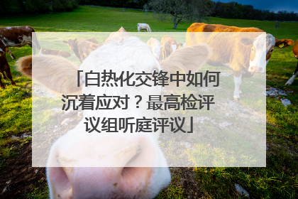 白热化交锋中如何沉着应对？最高检评议组听庭评议