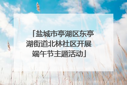 盐城市亭湖区东亭湖街道北林社区开展端午节主题活动
