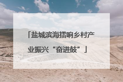 盐城滨海擂响乡村产业振兴“奋进鼓”