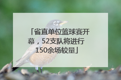 省直单位篮球赛开幕，52支队将进行150余场较量