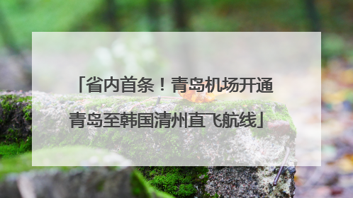 省内首条！青岛机场开通青岛至韩国清州直飞航线
