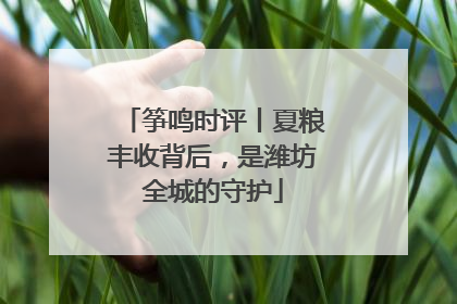 筝鸣时评丨夏粮丰收背后，是潍坊全城的守护