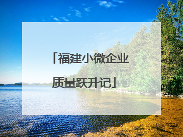 福建小微企业质量跃升记