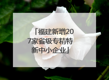 福建新增207家省级专精特新中小企业