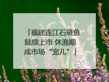 福建连江石斑鱼陆续上市 休渔期成市场“宠儿”