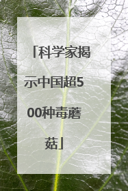 科学家揭示中国超500种毒蘑菇