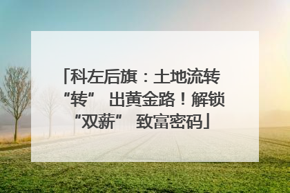 科左后旗：土地流转 “转” 出黄金路！解锁 “双薪” 致富密码