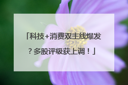 科技+消费双主线爆发？多股评级获上调！