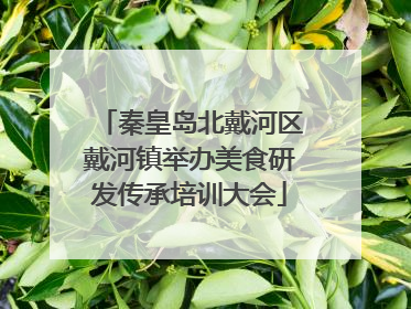 秦皇岛北戴河区戴河镇举办美食研发传承培训大会